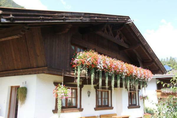 Waldesruh Apartment นีเดอร์ทาย ภายนอก รูปภาพ